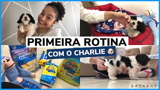 MINHA PRIMEIRA ROTINA COM O CHARLIE  COMPRINHAS meu dog shitszu 🐶🐾  por Rafaela Maria [upl. by Azal]