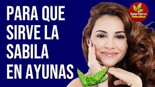 SABILA O ALOE VERA  ¿Para Qué Sirve  Beneficios Para Tu Salud Y Belleza [upl. by Kamat567]