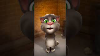 ban ke hawa mein catytalking youtubeshorts shorts talkingtom cat song songs music caty [upl. by Nylaj]