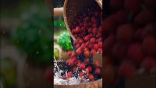 Have you heard about lychee wine makingwine wine ytshorts [upl. by Ignacio159]