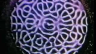 Cymatics [upl. by Gettings]