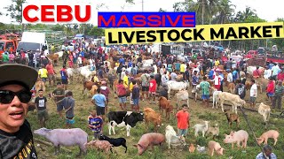 Inside Visayas Biggest Livestock Auction Market Beyond Words [upl. by Yleik853]