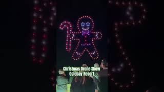 Drone Show Oglebay Resort Wheeling West Virginia christmas drone [upl. by Weisbart]