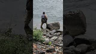 Its not easy to put a really big salmon in a net I ❤️ salmon fishing Vedder river Canada 🇨🇦 50 [upl. by Enilarac531]