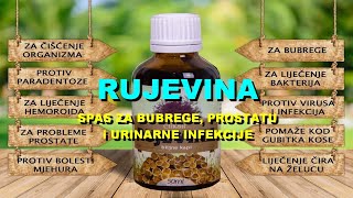 RUJEVINA  SPAS Za BUBREGE PROSTATU i URINARNE INFEKCIJE [upl. by Novaelc529]