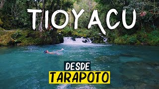 Tioyacu  COMO LLEGAR desde Tarapoto sin tours 🏞️🏊‍♂️🏝️ Nueva Cajamarca Rioja Turismo Peru [upl. by Nahshu]