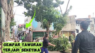 mengantisipasi terjadi tawuran tebang pohon mahoni besar di kuburan [upl. by Wagner]