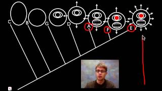 Cladograms [upl. by Tresa]