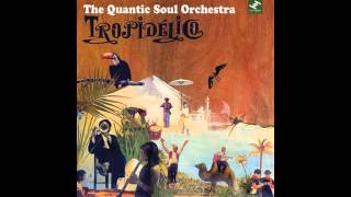 Quantic Soul Orchestra  San Sebastian Strut [upl. by Daukas386]