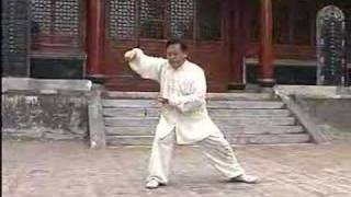 Chen Taijiquan Dalaojia Yilu wChen ShiTong Part 2 [upl. by Innavoeg]