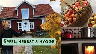 Unser Hof in Schweden  Ruhige und gemütliche Herbsttage im Waldhaus [upl. by Rutherford]