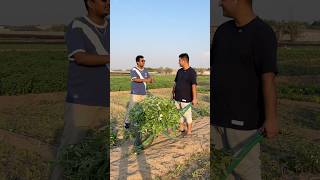 Salary in Village vs City dubai funny comedy shortsvideo Village provikrant [upl. by Etnoed]