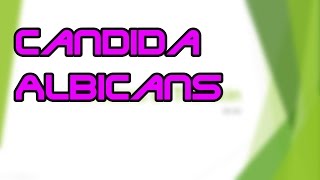 What is Candida Albicans  NCLEX Review [upl. by Cioffred]