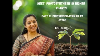 NEET Photosynthesis In Higher Plants Part5Malayalam PhotorespirationC2 cyclePCO cycle [upl. by Frierson]