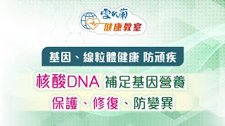 基因、線粒體健康 防頑疾！張仁傑博士：補足「核酸DNA」基因營養 保護、修復、防細胞變異 [upl. by Aikyn]