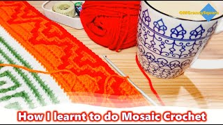 How I learnt to do Mosaic Crochet  My Journey [upl. by Marney]