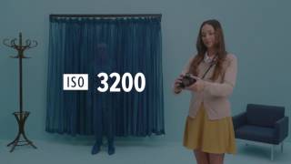 What is ISO  Photography Basics Explained [upl. by Annav679]