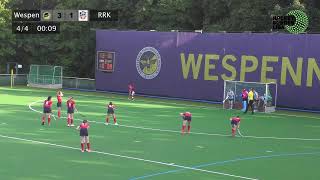 2 Bundesliga Damen Zehlendorfer Wespen vs Rüsselsheimer RK [upl. by Baptista976]