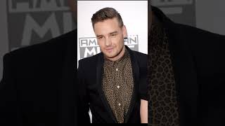 The Tragic End of Liam Payne A Reflection on Youth Fame and Reality [upl. by Olympium]