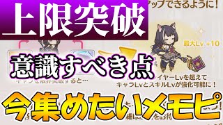 【プリコネR】キャラ限界突破で意識する点とレベル上限解放優先度解説【レベル上限突破】 [upl. by Naida677]