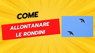 Come Allontanare le Rondini  Dissuasori e Repellenti [upl. by Saticilef]