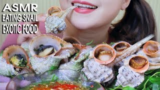 ASMR EATING LABLE SNAIL AND BIG MOUTH SNAILEXOTIC FOOD CHEWY EATING SOUND 먹방  LINHASMR [upl. by Lurie]