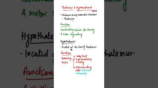 Function of HypothalamusFunction of Thalamus shorts biologyshort neuralcontrolandcoordination [upl. by Bergstrom523]