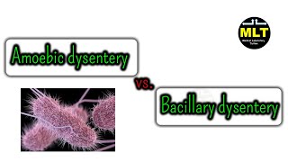 amoebic dysentery vs bacillary dysentery in hindi [upl. by Milano579]