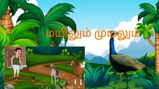 விவசாயின் நாயும் கழுதையும்  மயிலும் முயலும் கதை  Tamil kids story [upl. by Tnahsarp]