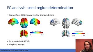 OHBM 2022  290  Symposium  Debby CW Klooster  Dynamic effects of tDCS on fMRI functional conne… [upl. by Dasie528]