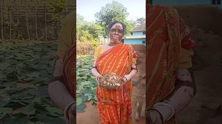 Elephant foot yam recipe plz support koro 🙏🙏shortsfeed cooking recipe viralvideo [upl. by Lattimer]