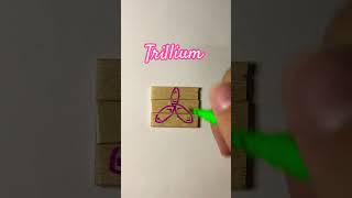 Trillium kryptontesla howtodraw drawingtutorials viralvideoshorts flowers [upl. by Omissam690]