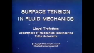 Surface Tension in Fluid Mechanics [upl. by Ainalem887]