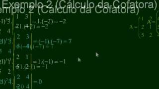 Matemática  Aula 21  Matriz Inversa  Parte 5 [upl. by Neyuq]