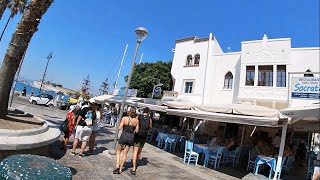 Kos town I GREECE I Dodecanese Island💙🤍💙 [upl. by Gregor656]