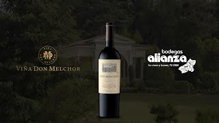 Vino Don Melchor en Bodegas Alianza [upl. by Rusticus654]