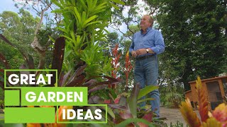 How to Grow Bromeliads  GARDEN  Great Home Ideas [upl. by Anawk]