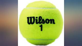 WILSON Championship Tennis Balls review [upl. by Lyrred949]