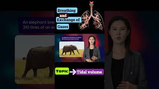 Tidal volume  Breathing and Exchange of gases neet Cbse [upl. by Gayla]