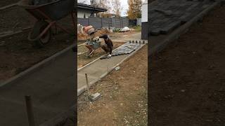 Landscaping in 5 days👍work construction pavers builder satisfying diy paverblocks garden [upl. by Reggy]