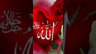 Best Islamic video Allah Naam Like kro sher kr do agy plz New video islamicstatus alla [upl. by Asabi]