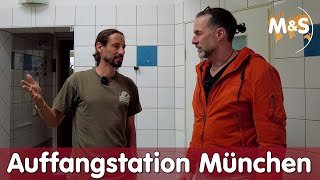 Auffangstation München  Reptil TV [upl. by Dovev]