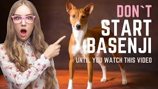 BASENJI  ALL TRUTH ABOUT BASENJI DOG BREED  WHY YOU CAN NOT START DASENJI [upl. by Niuqram]