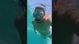 Snorkeling in Hurghada snorkeling snorkel hurghada seabeach sea travel coral fish adventure [upl. by Joseph]