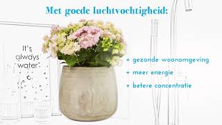 De wonderlijke werking van hortensia [upl. by Ho]