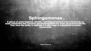 Medical vocabulary What does Sphingomonas mean [upl. by Anilrac]