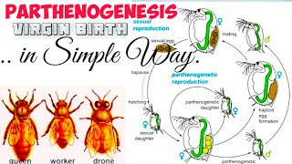 PARTHENOGENESIS [upl. by Gnuhp]