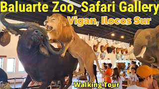 Baluarte Zoo Vigan Ilocos Sur Walking Tour BaguioBicol [upl. by Aleekahs15]