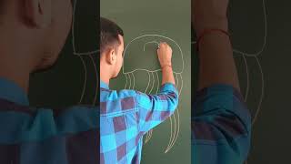 Aurelia Diagram aurelia phylum coelenterata cnidaria sea titanclasses art biologyclass12 [upl. by Heisel]