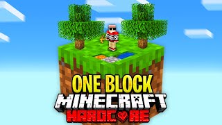 I Survived 100 Days on ONE BLOCK in Hardcore Minecraft Heres What Happened [upl. by Kalagher]